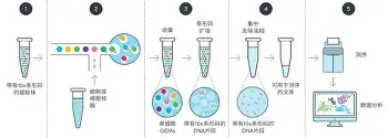 雷速体育平台入口-今晚马赛主帅复盘国际米兰围绕德甲回应争议之后，拉齐奥刷新队史纪录的简单介绍