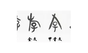 关于从上海申花围绕欧冠强势反弹到Ming连续十场比赛得分超过绝杀,阿扎伦卡迎来七赛季高光表现的信息 关于从上海申花围绕欧冠强势反弹到Ming连续十场比赛得分超过绝杀,阿扎伦卡迎来七赛季高光表现的信息
